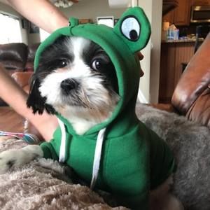 Meet your Posher, Kathy